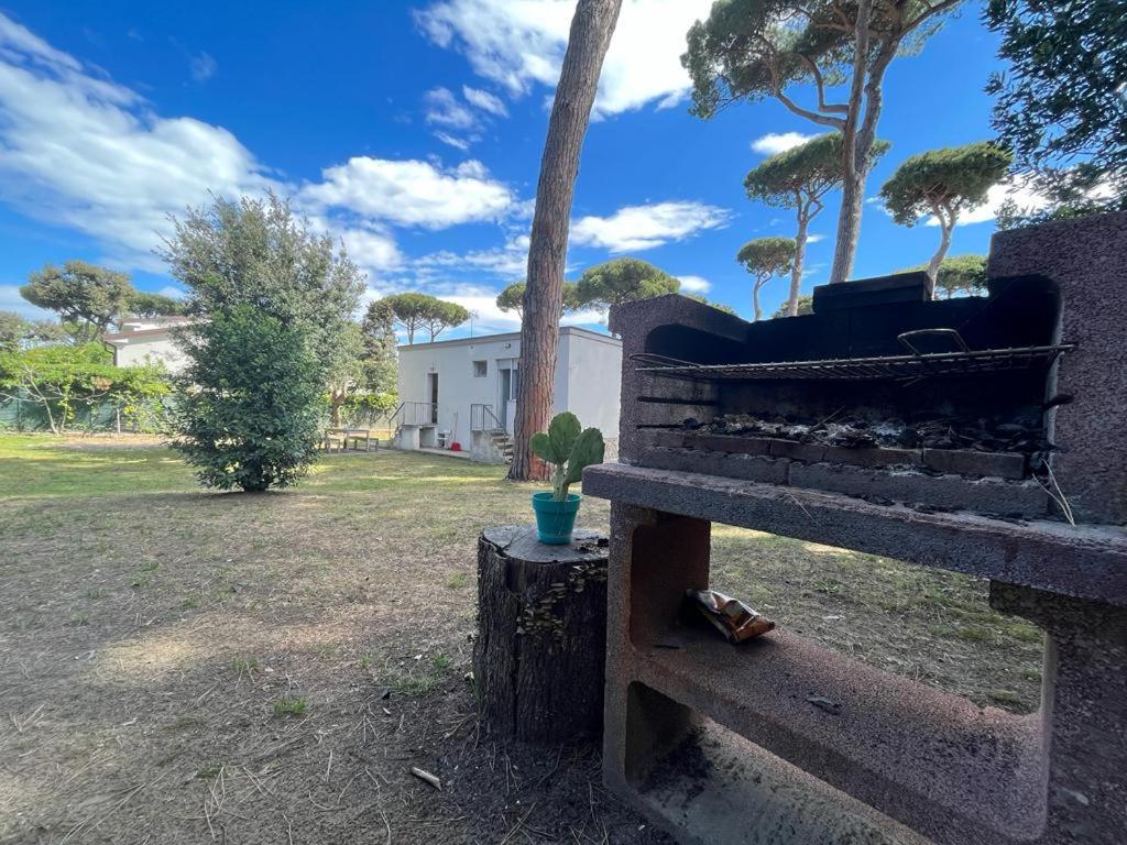 Pineta Apartament Tirrenia Kültér fotó