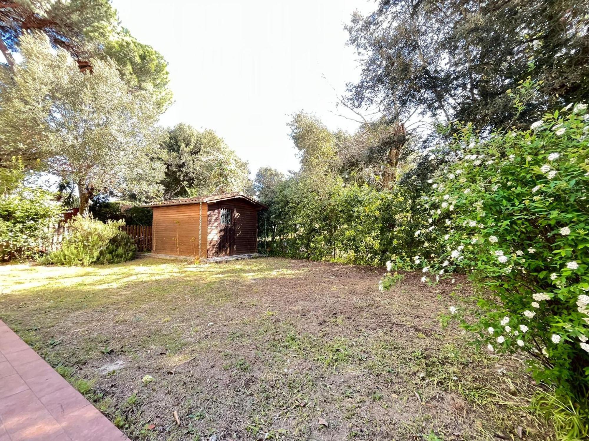 Pineta Apartament Tirrenia Szoba fotó